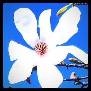 Respectful offers always welcome! 😊